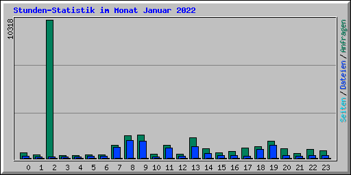 Stunden-Statistik im Monat Januar 2022